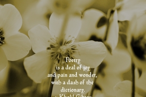 1_Poetry-Is-A-Deal-Of-Joy