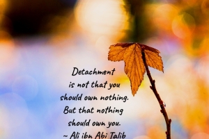 1_detachment