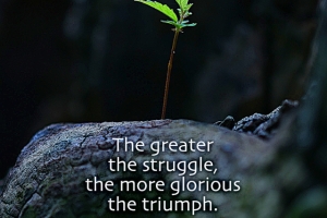 1_greaterthestruggle