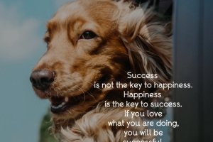 1_happinessisthekeytosuccess