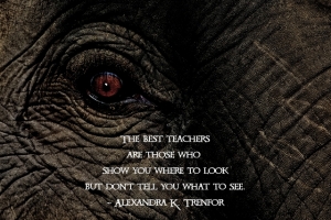 1_thebestteachers