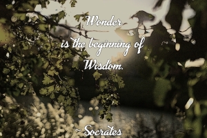 1_wonderiswisdom