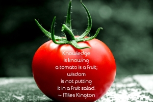 A-Tomato-Is-A-Fruit