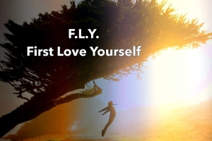FLY