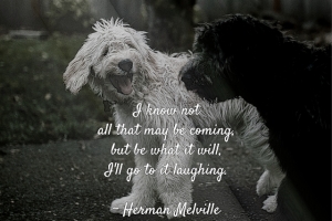Ill-Go-To-It-Laughing