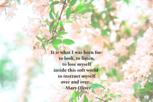 It-Is-What-I-Was-Born-For-