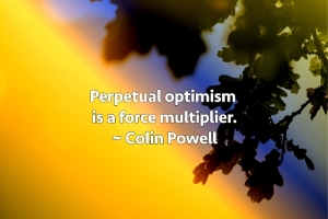 Perpetual-Optimism