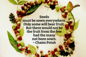 Seeds-Must-Be-Sown-Everywhere