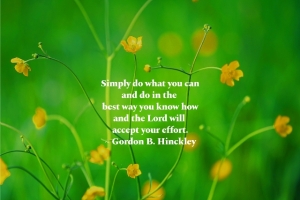 Simply-Do-What-You-Can