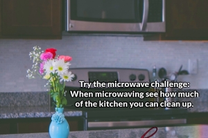 The-Microwave-Challenge