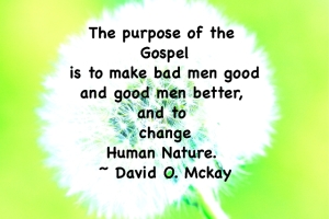 The-Purpose-Of-The-Gospel