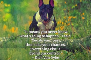 You-Never-Know-Whats-Going-To-Happen