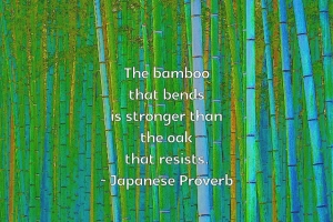 bamboothatbends