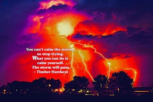 calmthestorm