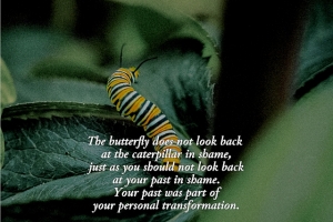 caterpillardontlookback