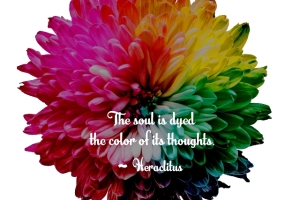 colorofitsthoughts