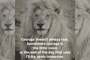 couragedoesntroar