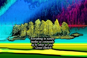 everythinginnature