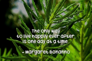 happilyonedayatatime