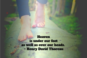 heavenisunderourfeet