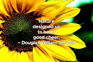 naturedesignedus