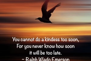nokindnesstoosoon