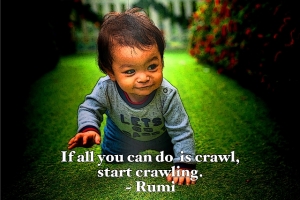 start-crawling