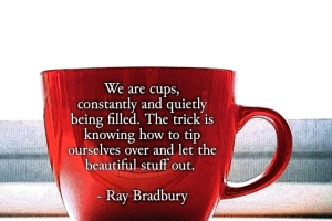 wearecups