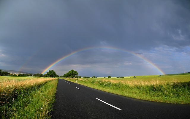 Rainbows by Emily Romrell