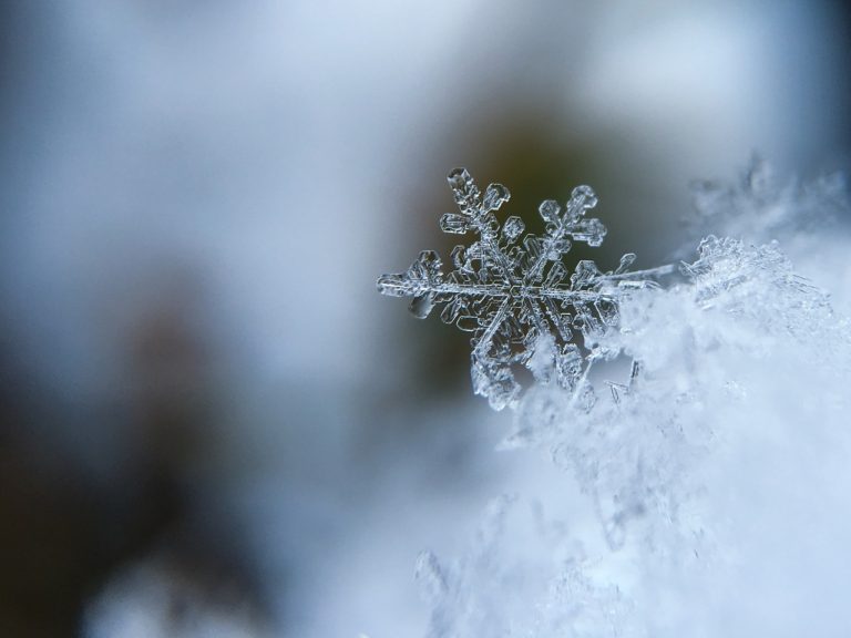 First Flakes
