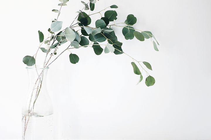 Embracing Minimalism