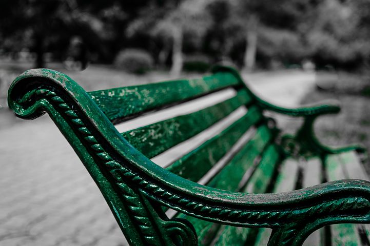 The Park Bench
