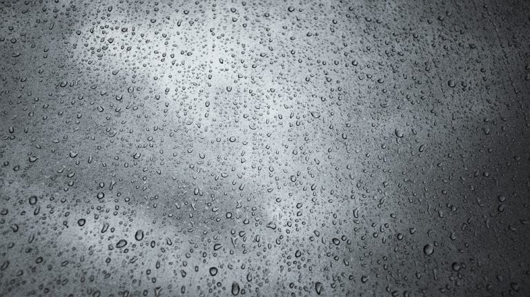 Rain
