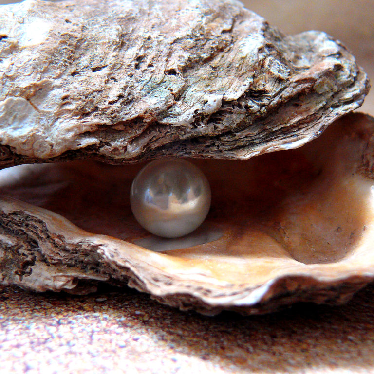 A Pearl