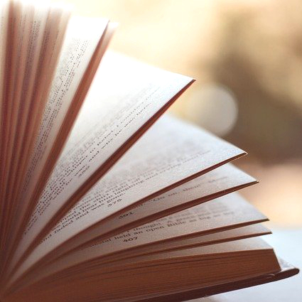 Fiction Book Reviews