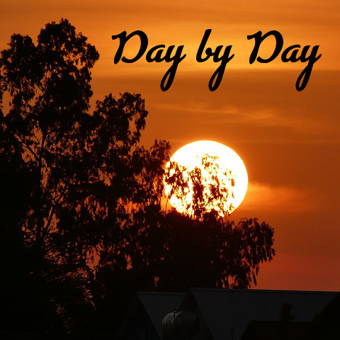 Day by Day Song by Emily Romrell