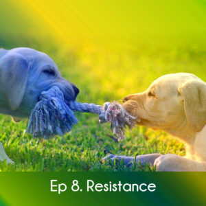 Ep 8 Resistance