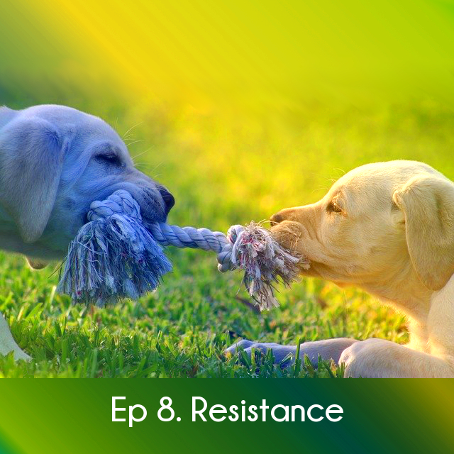Ep 8 Resistance