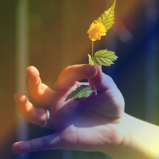 A Simple Faith by Emily Romrell