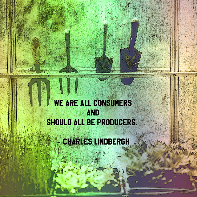 Consumers and Producers