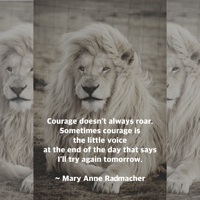 Courage Doesn’t Always Roar