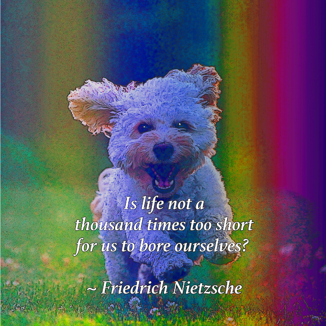 Life Is Too Short To Be Bored