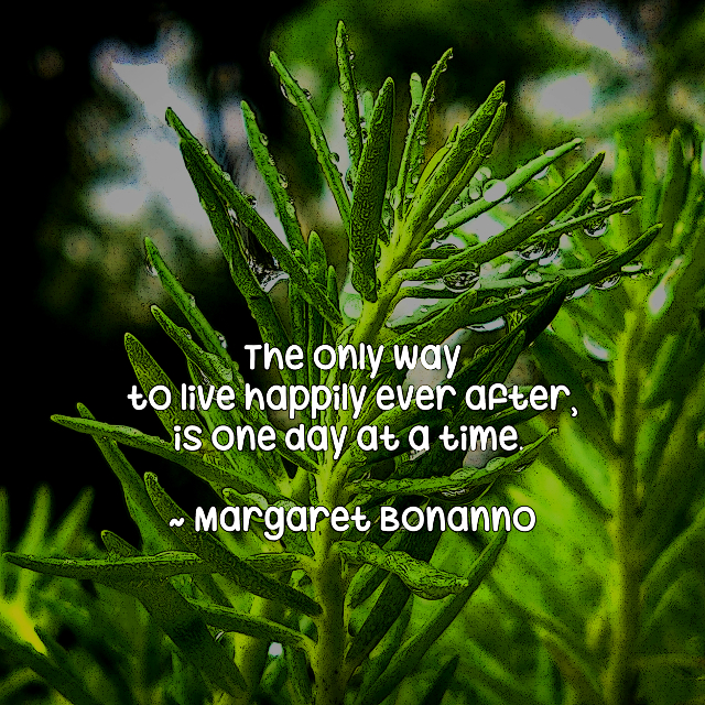 Happily One Day At A Time