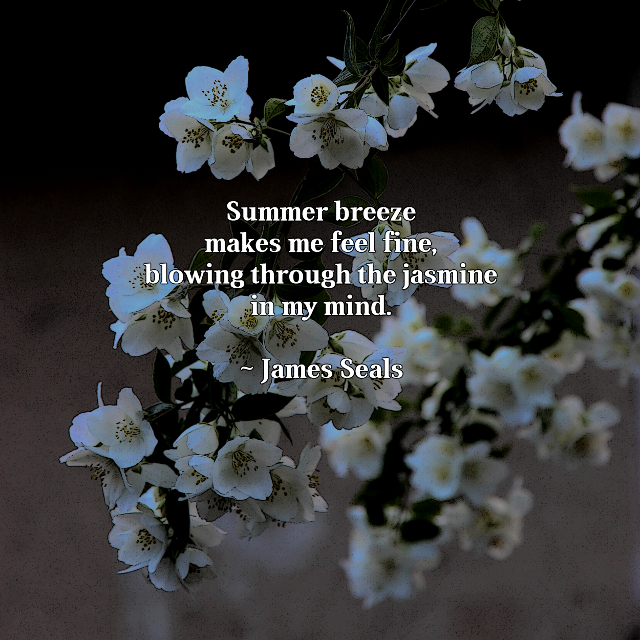 Jasmine In My Mind