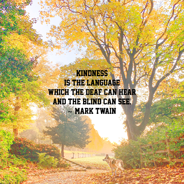 Kindness Is The Language