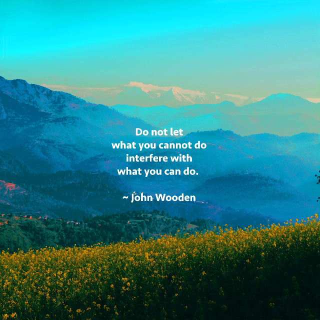 What You Can Do