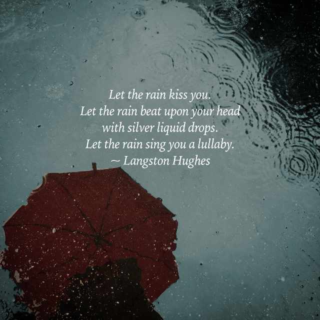 Let The Rain Kiss You | Emily Romrell