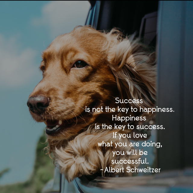 Happiness Is The Key To Success