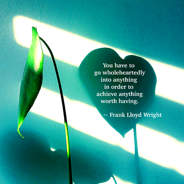 Go Wholeheartedly