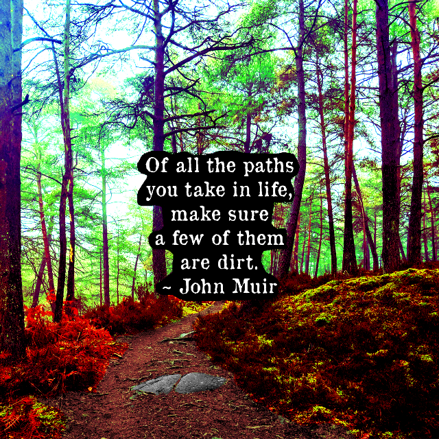 Dirt Paths